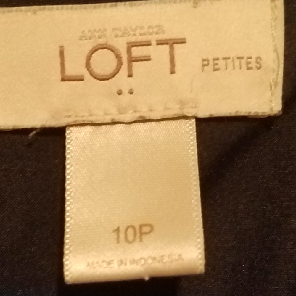 Ann Taylor Loft Sleeveless Deess - 10P (B3) - Picture 4 of 7